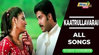 Kaatrullavarai Movie 4K Full Video Songs | Jai Akash | Pranathi | Bharani | Raj 4K Songs