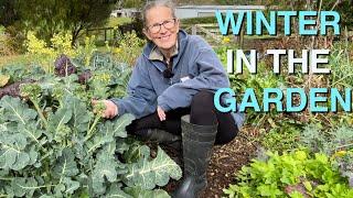 My Permaculture Vegetable Garden in Winter