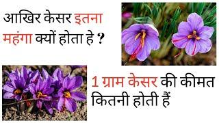 1 ग्राम केसर की कीमत कितनी होती है!!How much does 1 gram saffron cost?#viralfactshorts#shortsviral