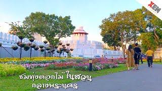 Flower field in Mahakan fort park, Bangkok | XenTripper