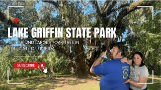 RV Camping at Lake Griffin State Park + Florida’s Massive Oak Tree! 