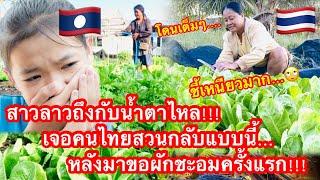 สาวลาวถึงกับน้ำตาไหล!!! เจอคนไทยสวนกลับแบบนี้…หลังมาขอผักชะอมครั้งแรก!!!