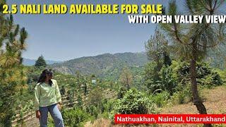 Plot In Nathuakhan: 2.5 Nali Land Available}Nathuakhan|Nainital|600sq.Yards|UttarakhandProperty.com