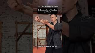 A set of movements in three steps with Master Tu Tengyao