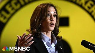 ‘She actually has a plan’: Vice President Kamala Harris to visit southern border