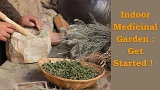 🪴Indoor Medicinal Herb Gardening : Tips for Success