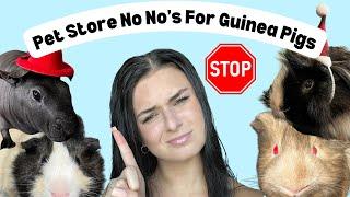 Things You Shouldn’t Buy For Your Guinea Pigs