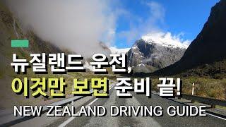 뉴질랜드 남섬/북섬 운전하기,  이것만 보면 준비 끝! | NEW ZEALAND DRIVING GUIDE