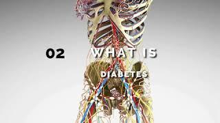 What is diabetes?Everything you need to know about diabetes.