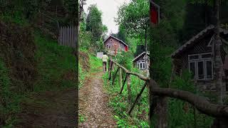 Offbeat Darjeeling #travel #explore #wanderwithdebritu #offbeatdarjeeling