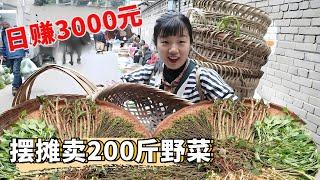 進城擺攤賣200斤野菜！凌晨6點和嬢孃們出發，200斤野菜賣3000多發財了！ 【燕麥行遊】#Farm #tour