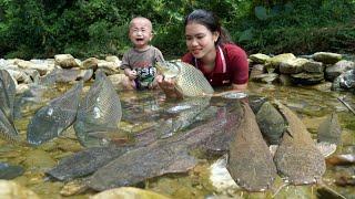 Encounter a huge school of Fish - Catch Fish with your kids on a hot day - Cooking with your kids.