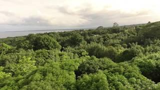 Hamakua Coast On The Big Island Of Hawaii - Drone Video By Steven Parente