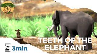 TEETH OF THE ELEPHANT x Bedtime Stories x Story for Kids, Teenagers & Adults | AFRICAN FOLKTALES