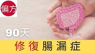 腸漏症｜90天修復方法