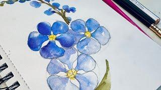 Paint a lovely Forget-Me-Not in Watercolor! Simple, Fun & Inspiring Step-by-Step guide. #paulrubens