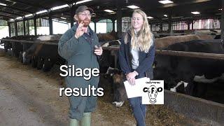 Silage 2024, how did it turn out?