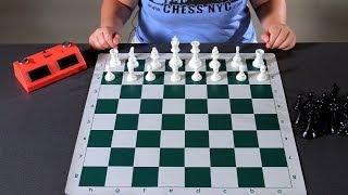 How to Set Up the Board | Chess