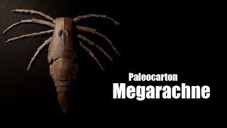 Megarachne - Paleocarton