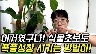 내가 선택한 단 하나의 식물영양제 추천 (전문가들도 추천하는 액비 | 다이나그로)