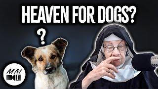 Mother Miriam Live | Do Animals Have Souls Destined for Heaven?