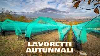 Lavoretti autunnali