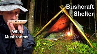 Rainy Forest Escape: Foraging, Feasting, and Overnight Bushcraft Adventure