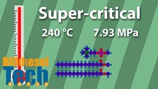 Phospholipids Conversion in Biodiesel Production - Snippet on TechNote 24