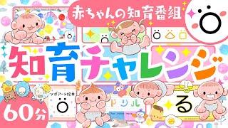 【赤ちゃんが喜ぶ知育番組】知育チャレンジö | ソポアートパーク公式 | 人気動画の詰め合わせ | 赤ちゃんが喜ぶアニメ | 動画 | 絵本　歌　音楽メドレー | Baby anime