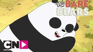 We Bare Bears | The Bear Bros' Origin Story: Panda | Cartoon Network Africa