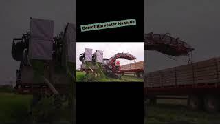 High-Tech मशीन  Carrot Harvesting #किसान