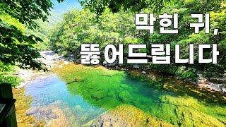 여자 혼자 지리산 뱀사골_ 아, 벗고 싶었다...  와운마을 천년송(뱀사골신선길).