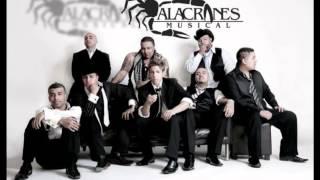 mix alacranes musical