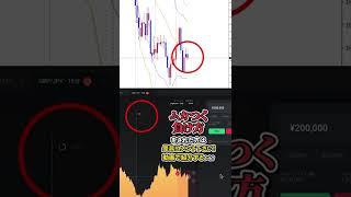 【共感求む】一番ムカつく！！ハイローオーストラリアの負け方#shorts #バイナリーオプション
