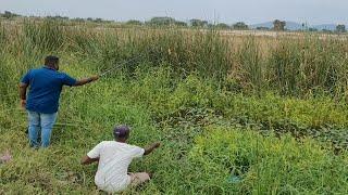 Small Single Hook fishing in Pond|Amazing Catching Tilapia fishes To Catch With Hook|Unique fishing