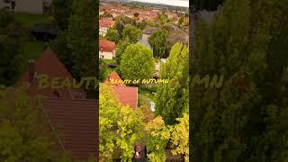 Beauty of AUTUMN-GERMANY#Yedukondalu Gangisetty#shorts#nature#life#youtube#travel#color#leaves