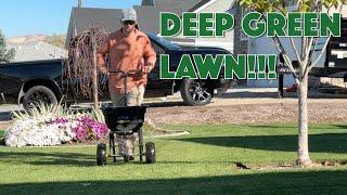 DEEP GREEN LAWN With These Products