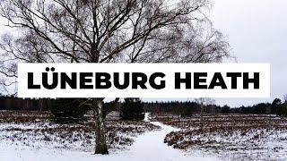 3 great places for a winter hike in Germany's Lüneburg Heath