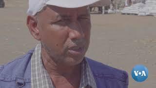 Tigray Refugees in Sudan Say It’s Not Safe to Return Home