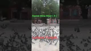 Hazrat Mina Meer Sab ( R ) Lahore punjab / New Video