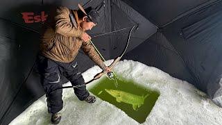 Darkhouse Bowfishing GIANT Fish Through The Ice!