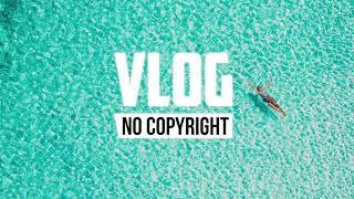 Nekzlo - Palm Shadows (Vlog No Copyright Music)