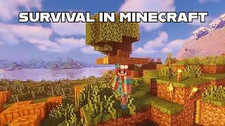 Survival in Minecraft. Building a house...