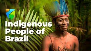 Indigenous People of Brazil - Native origins