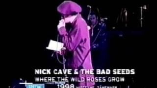 Nick Cave & Blixa Bargeld - Where the Wild Roses Grow (Live 1998)