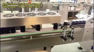 Tablet Counting and Bottling Machine Capsule Counting and Bottling Production Line