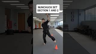 Nunchaku Set. section 1 and 2 for review