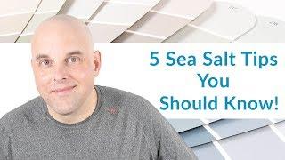 5 Sherwin Williams Sea Salt Tips Everyone Should Know!