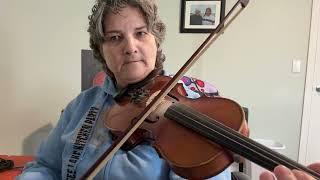 Day 335 - The Mug Of Brown Ale - Patti Kusturok’s 366 Days of Fiddle Tunes