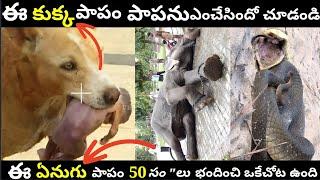 Top 8 Interesting and Unknown Facts in Telugu | Telugu facts | #VKV Episode 5 | vkv facts in telugu